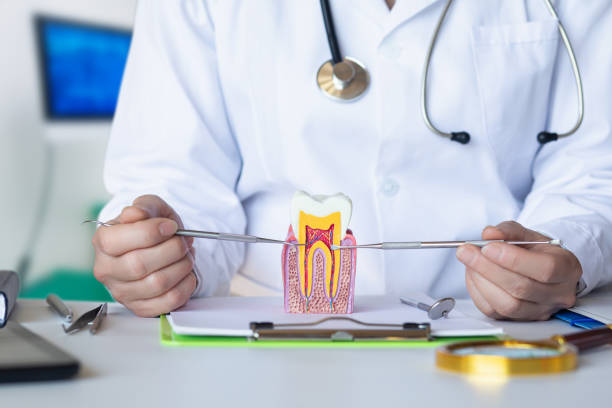 Best Dentist for Tooth Abscess  in Fourche Crossing, LA